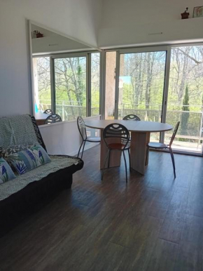 Appartement T2 face au golf